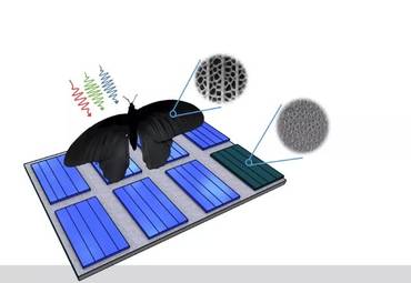 Крылья бабочки вдохновляют на лучший способ поглощения света солнечными батареями