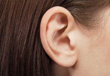Исследователи лечат дефект уха путем выращивания имплантатов из клеток