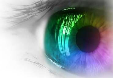 Ученые нашли способ выращивания искусственной сетчатки глаза